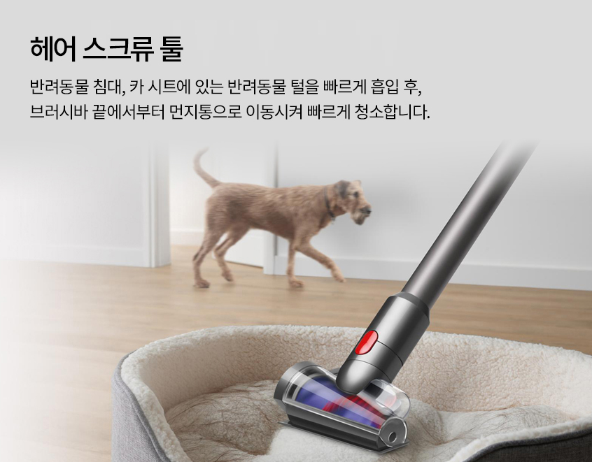 디텍트 이미지