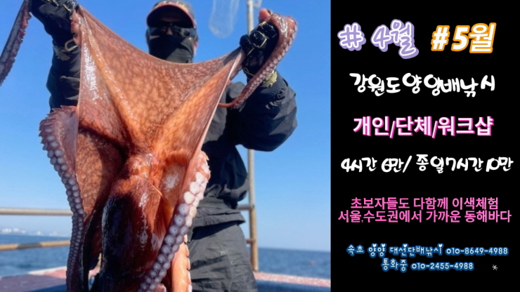 다잡아낚시 이미지