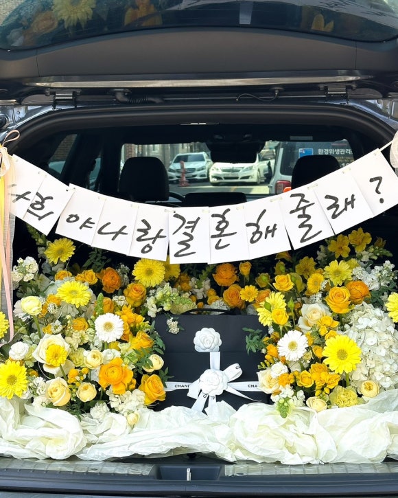 플로피아 이미지