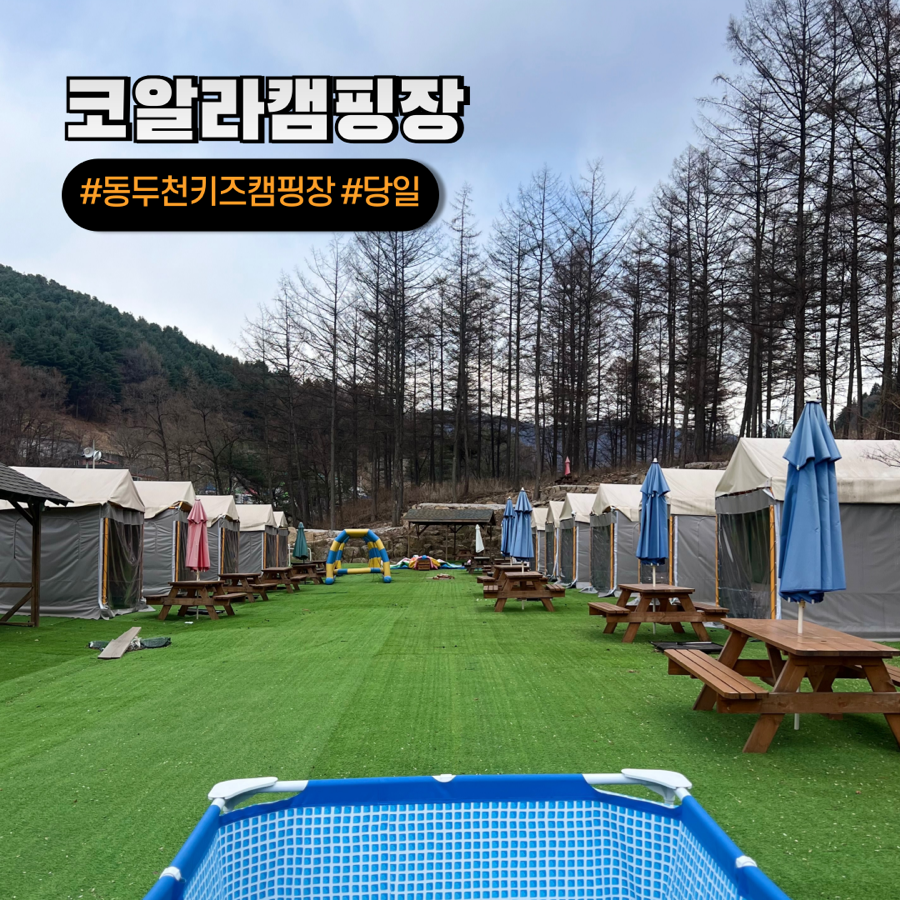 코알라캠핑장 이미지