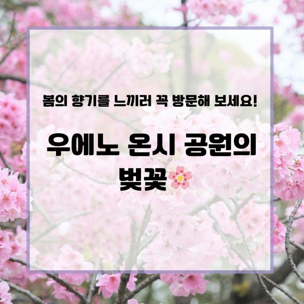 다케야 이미지