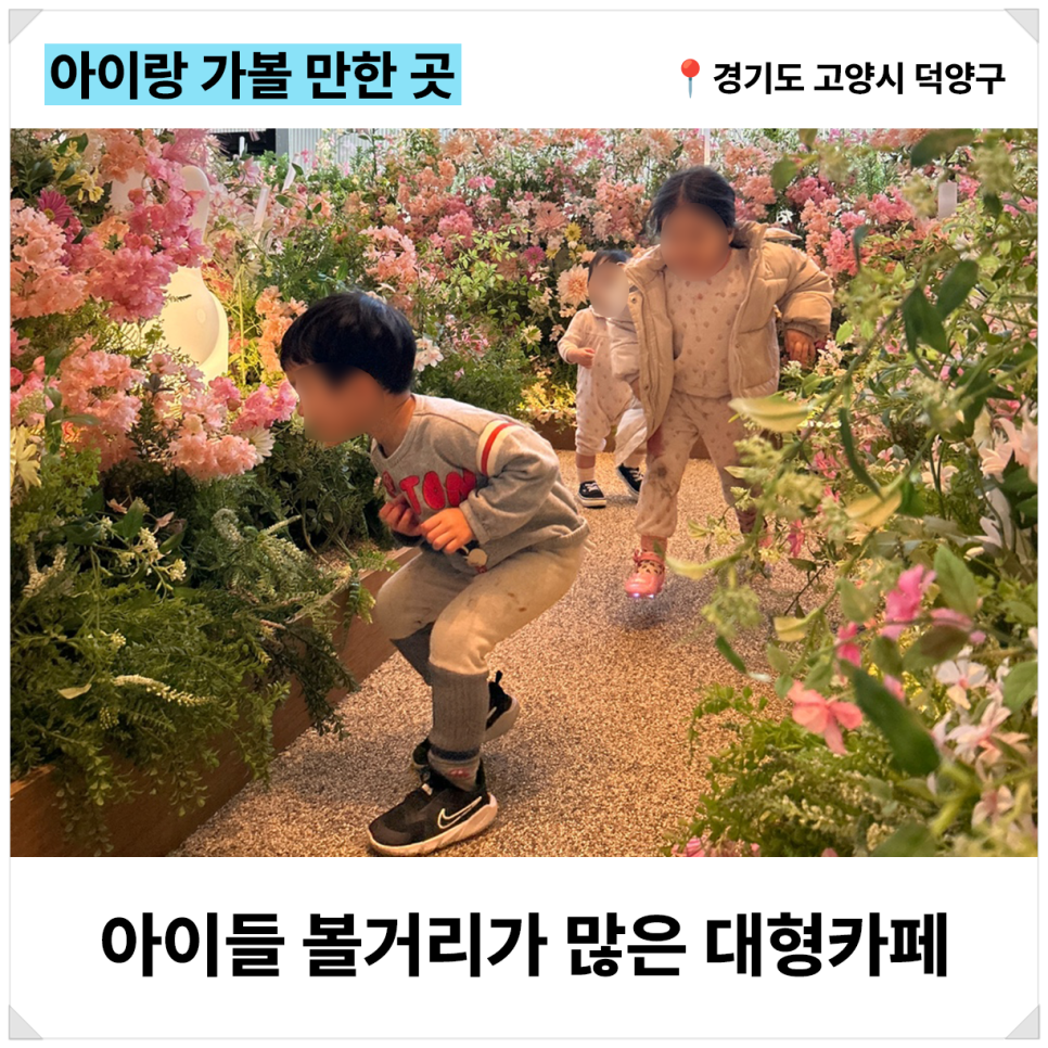 고양인테리어 이미지