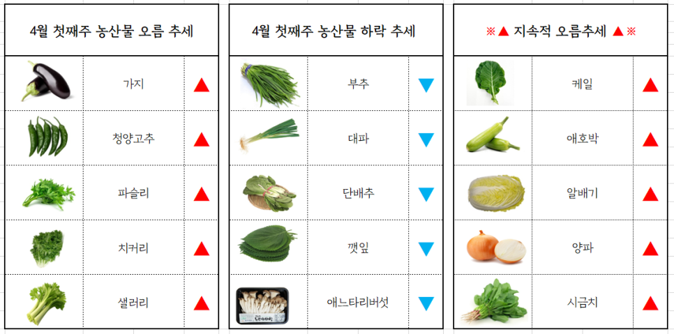 서면유통 이미지