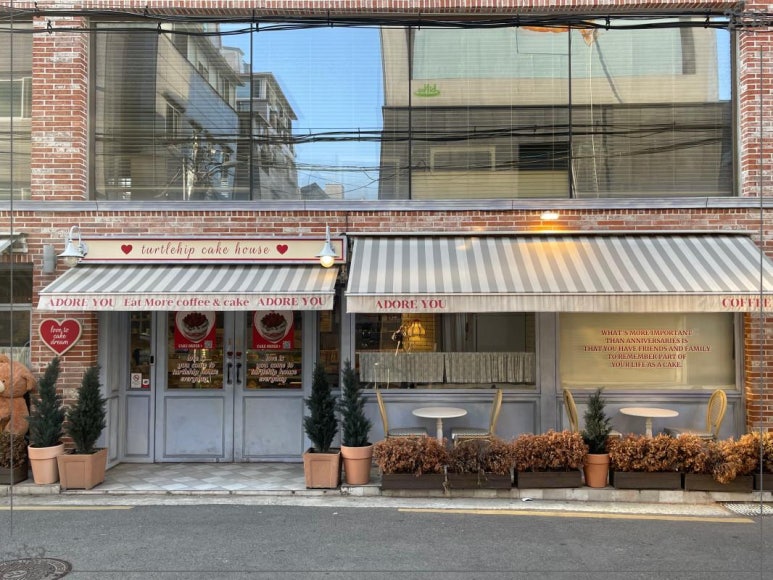 터틀카페 이미지