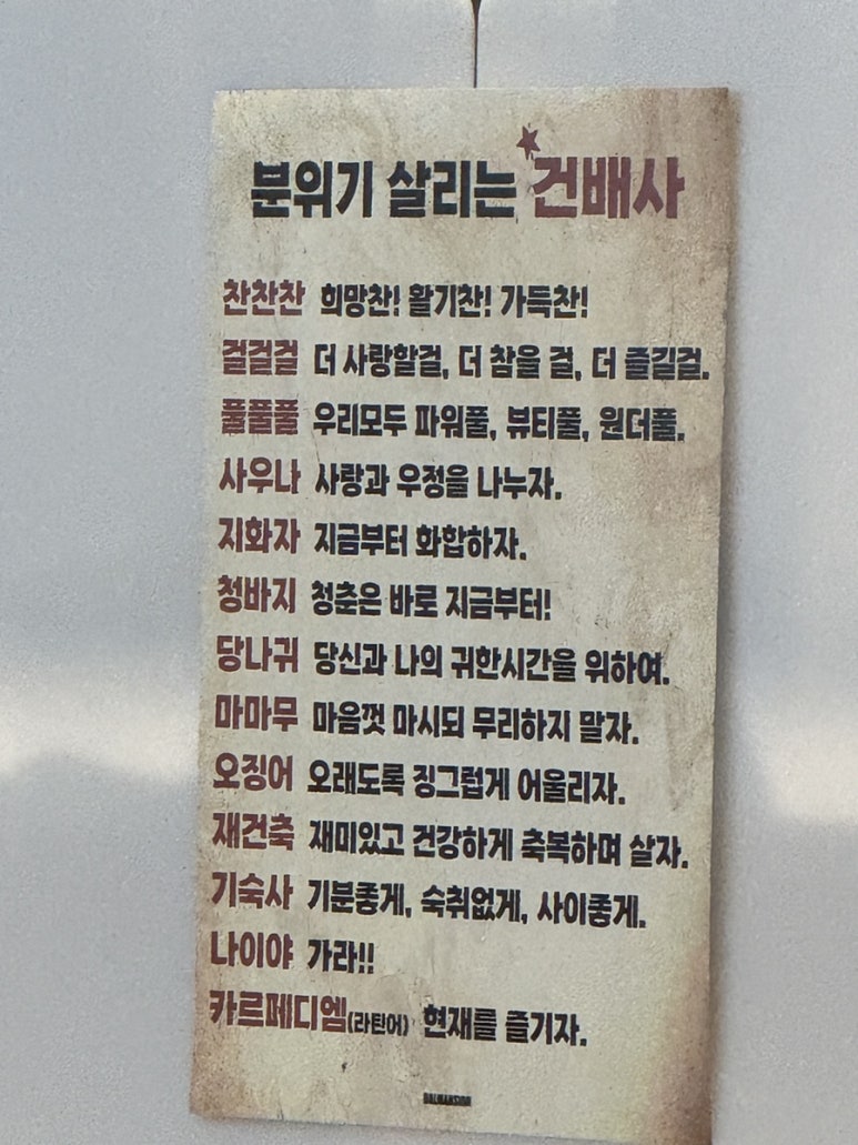 화니바비스타 이미지