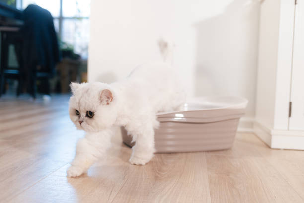 청결환경 이미지
