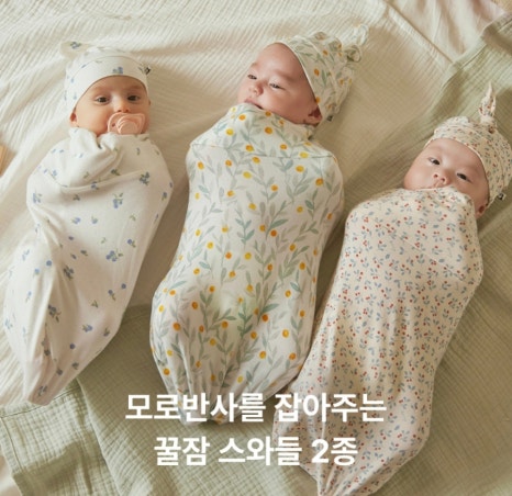 폰코니 이미지