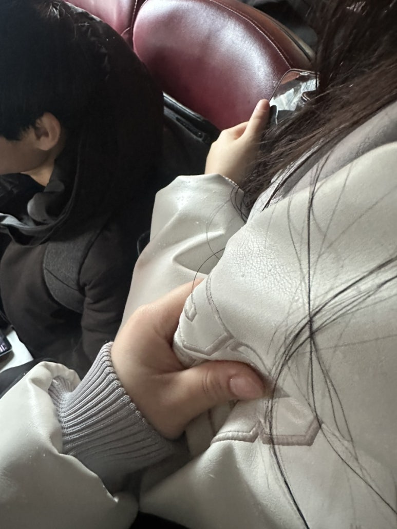 슈크레어 이미지