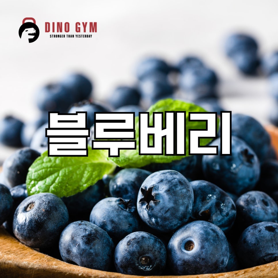 디노짐 이미지