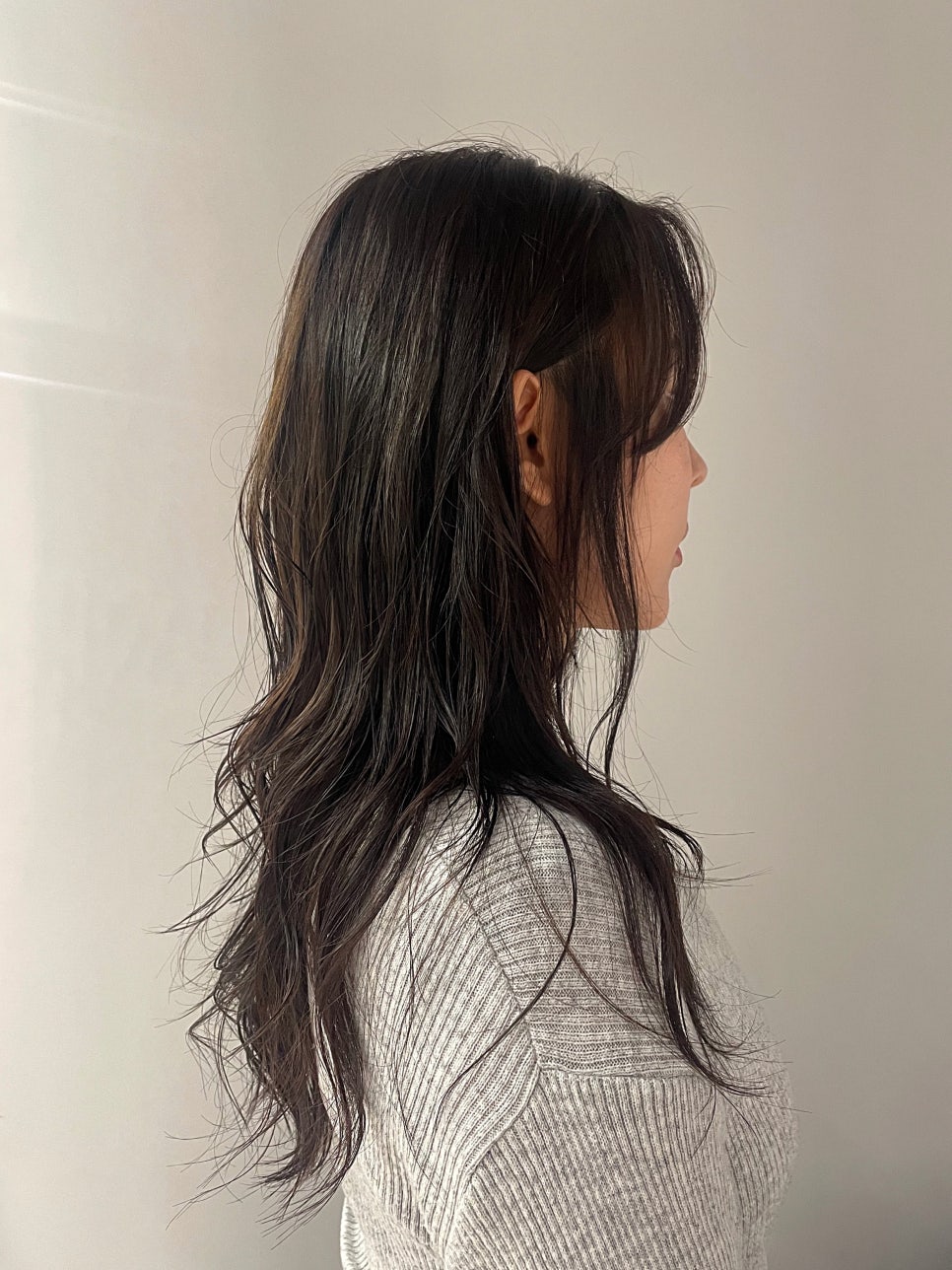어니스트헤어 이미지