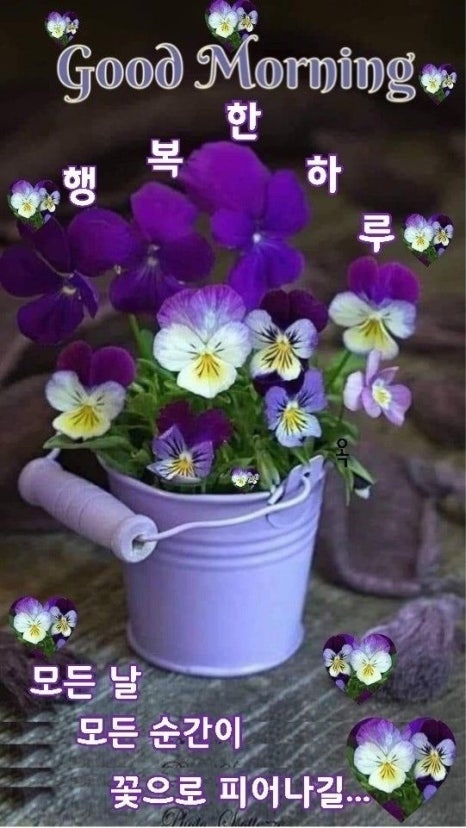 소소한이야기 이미지