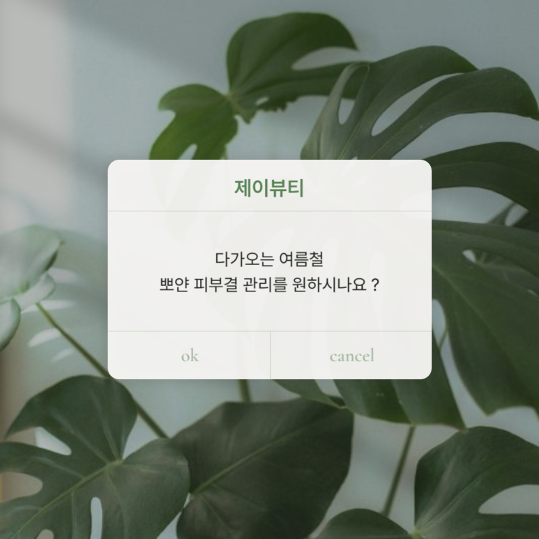 제이에스테틱 이미지