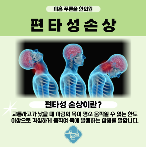 배곧한방병원 이미지