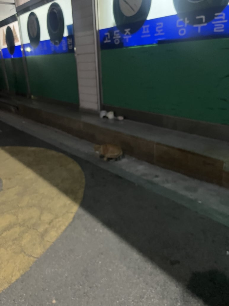 고동주프로당구클럽 이미지