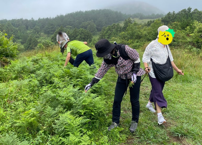 초록하다 이미지