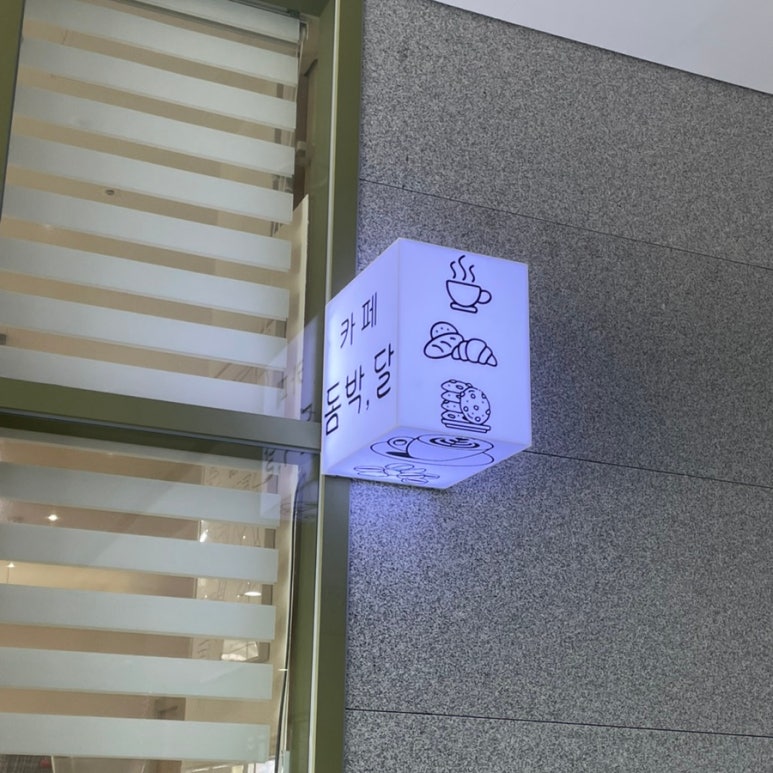 돔박;달 이미지