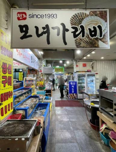 모자가리비 이미지
