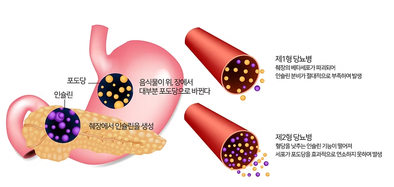 분당본내과의원 이미지