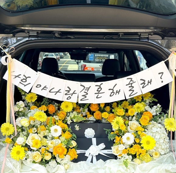 플로피아 이미지