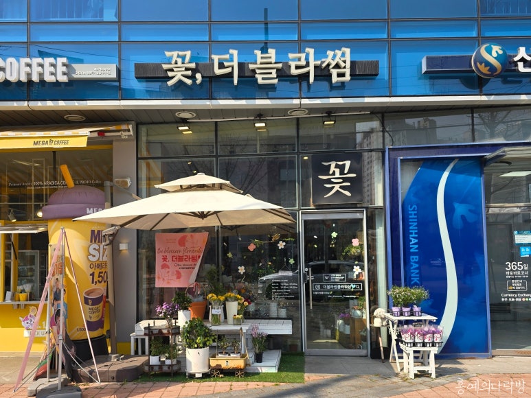 1481샵 이미지