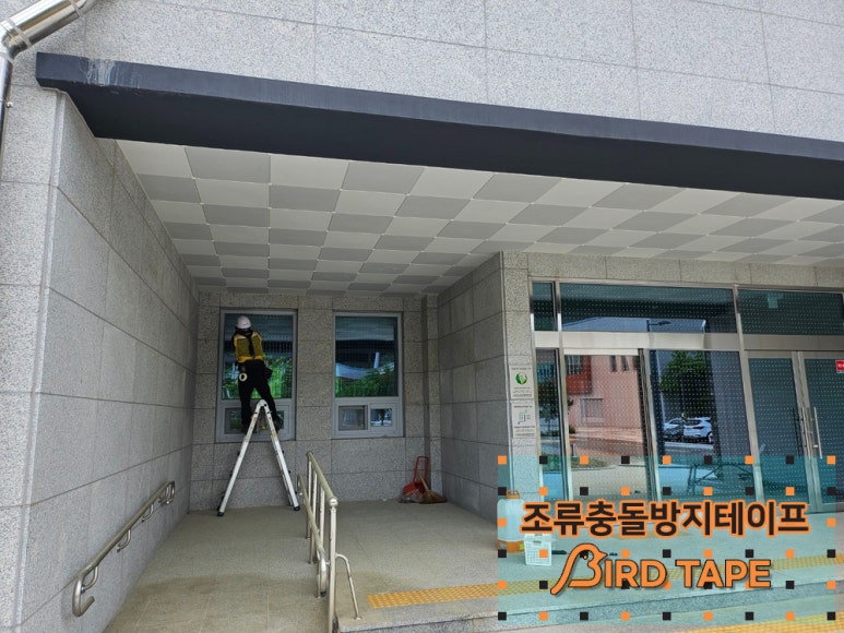 네이쳐세이버 이미지
