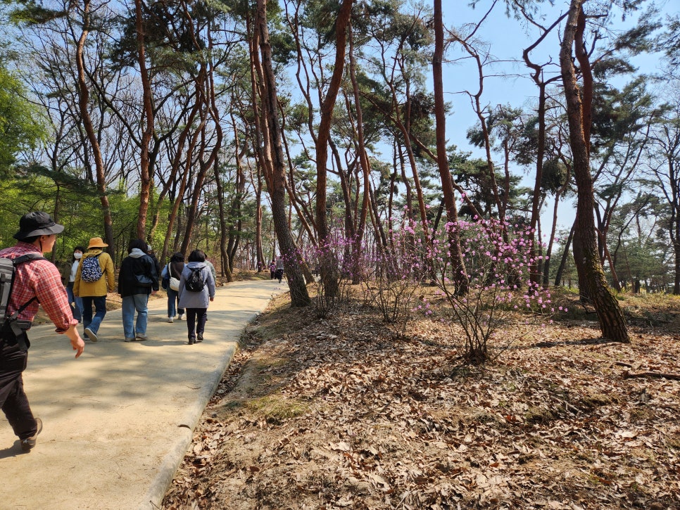 화성 8경 화산서애와 수원 8경 화산두견 : 네이버 블로그