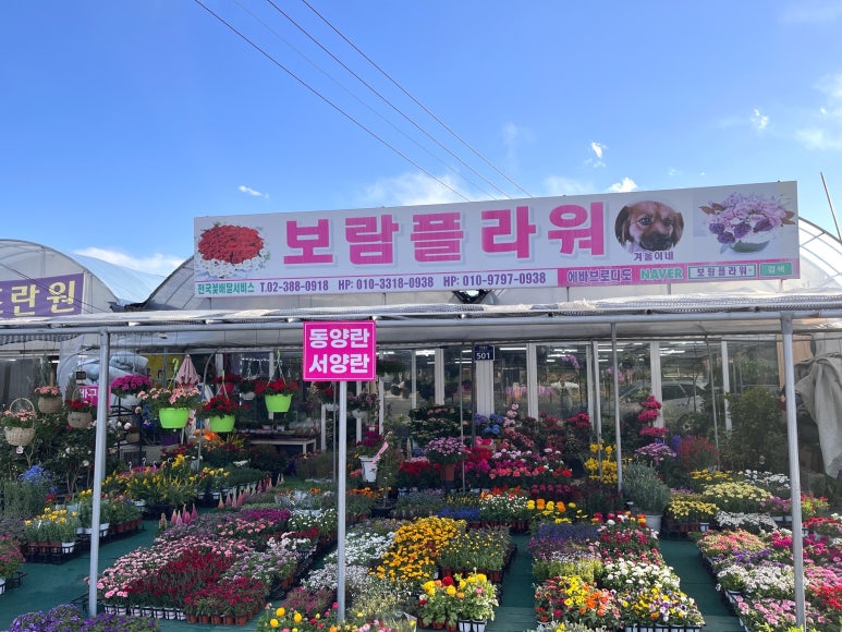 대지꽃집 이미지
