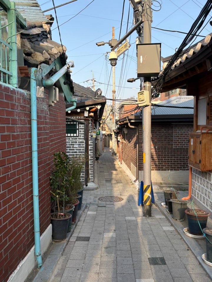 디터틀 이미지