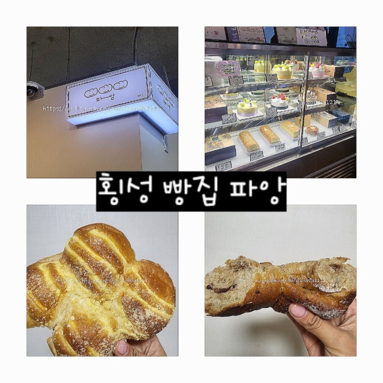 파앙 이미지