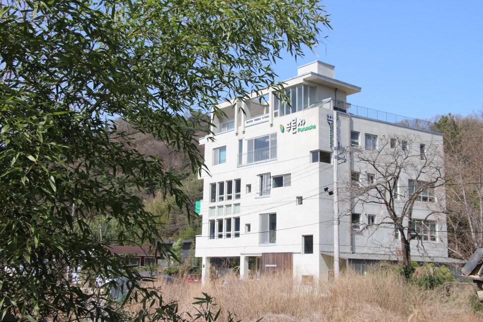 (사)푸른차문화연구원 이미지