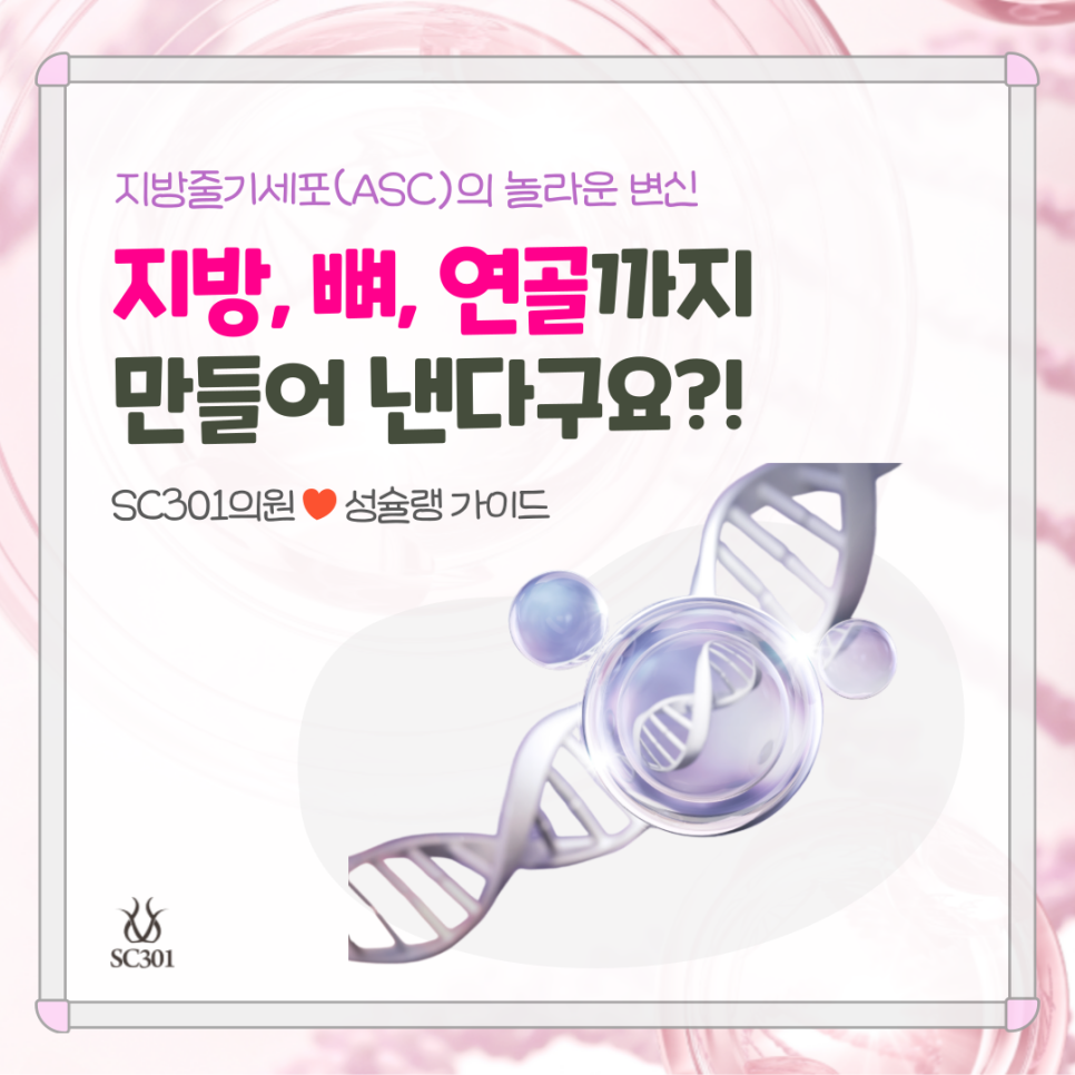 001 지방줄기세포(ASC)의 놀라운 변신 - 지방, 뼈, 연골까지 만들어낸다구요?!