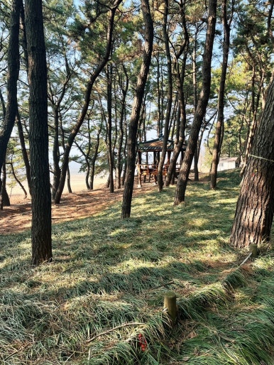 송림스쿨 이미지