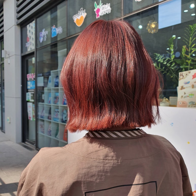 살롱드레이브 이미지