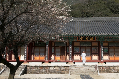 조화불교사 이미지