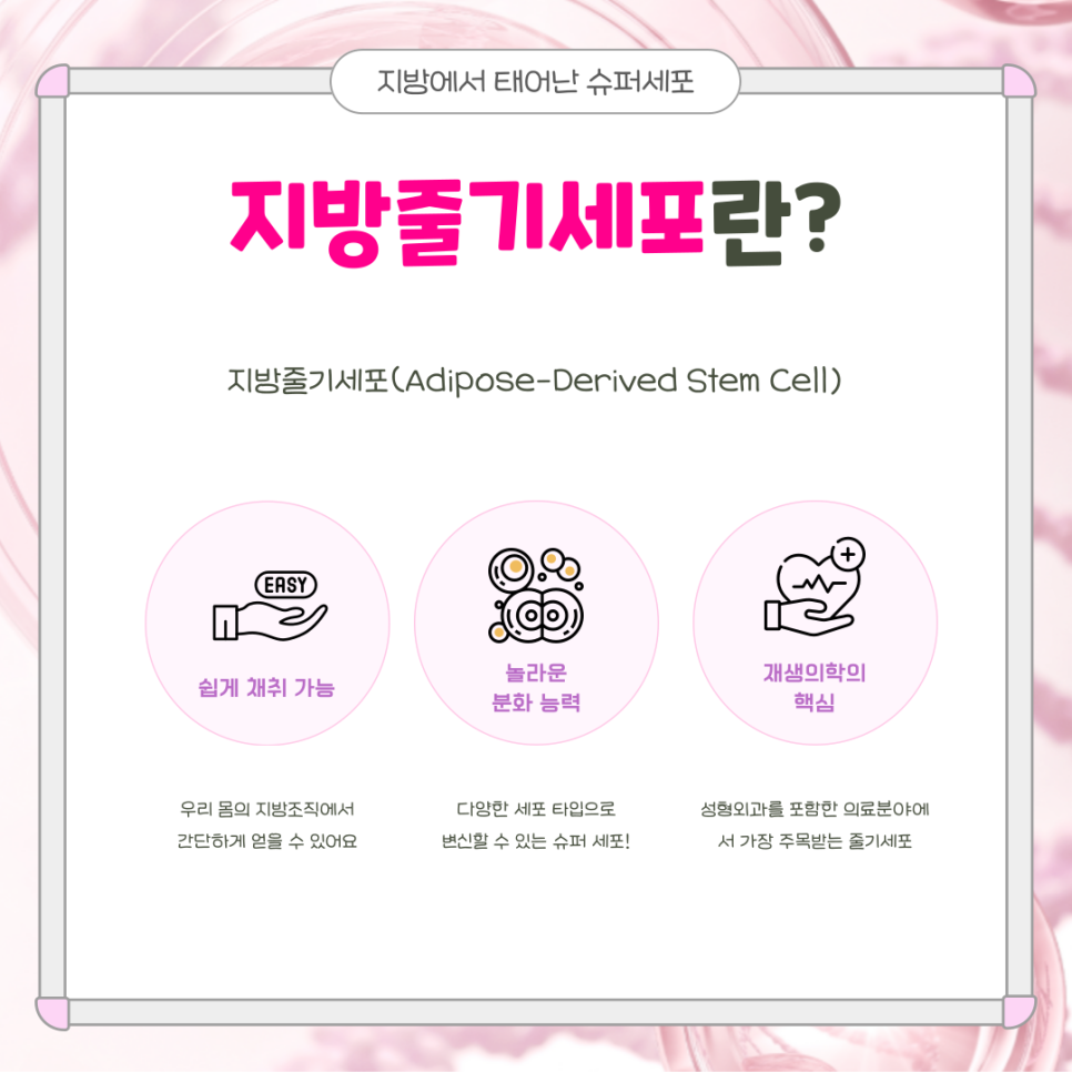 002 지방줄기세포(ASC)의 놀라운 변신 - 지방, 뼈, 연골까지 만들어낸다구요?!