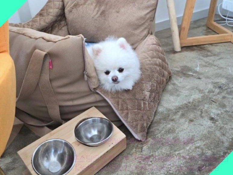 이루말뷰티 이미지
