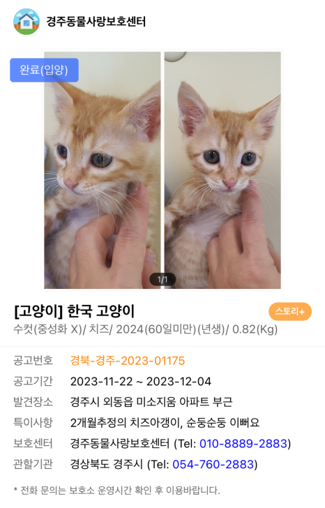 제니스클리닝 이미지