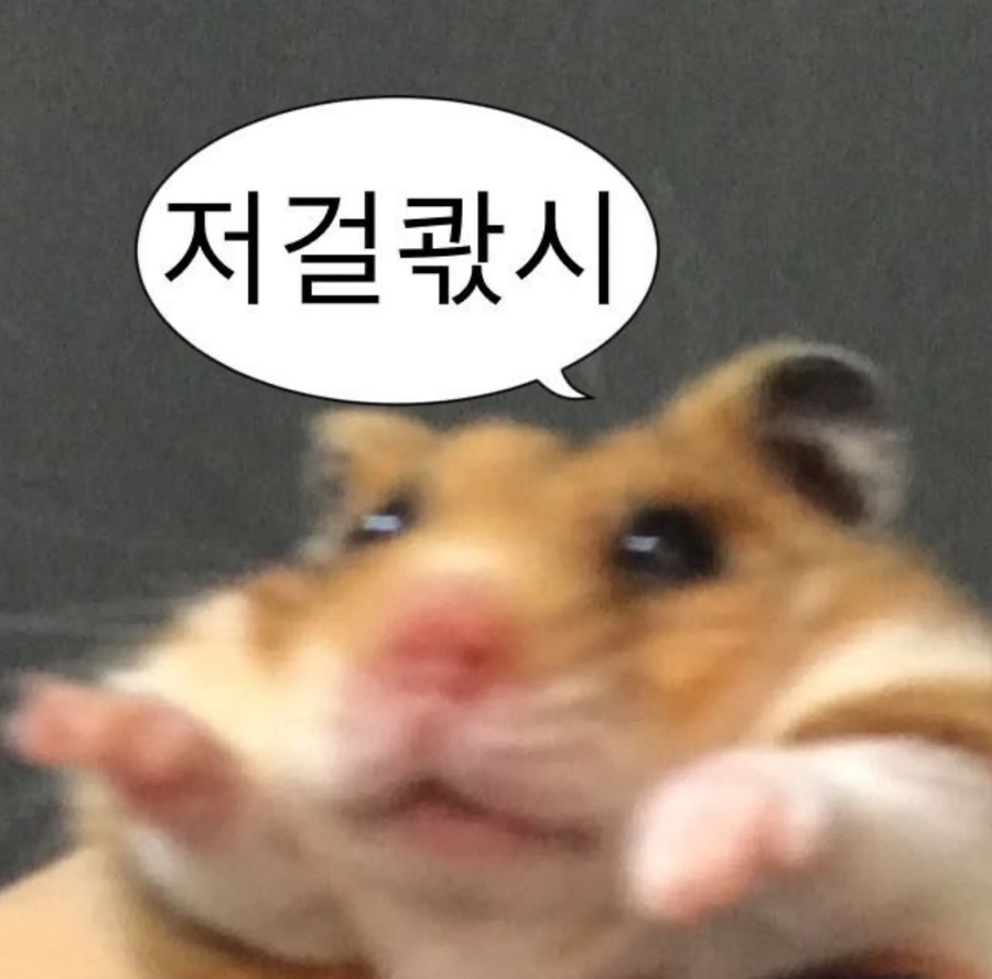 명동칼국수샤브샤브 이미지