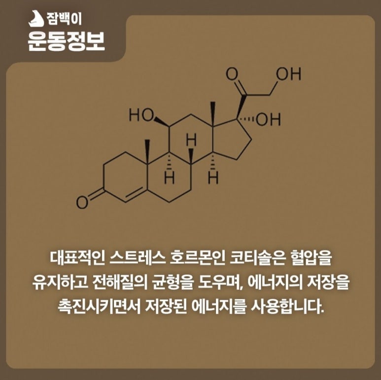 잠백이 이미지