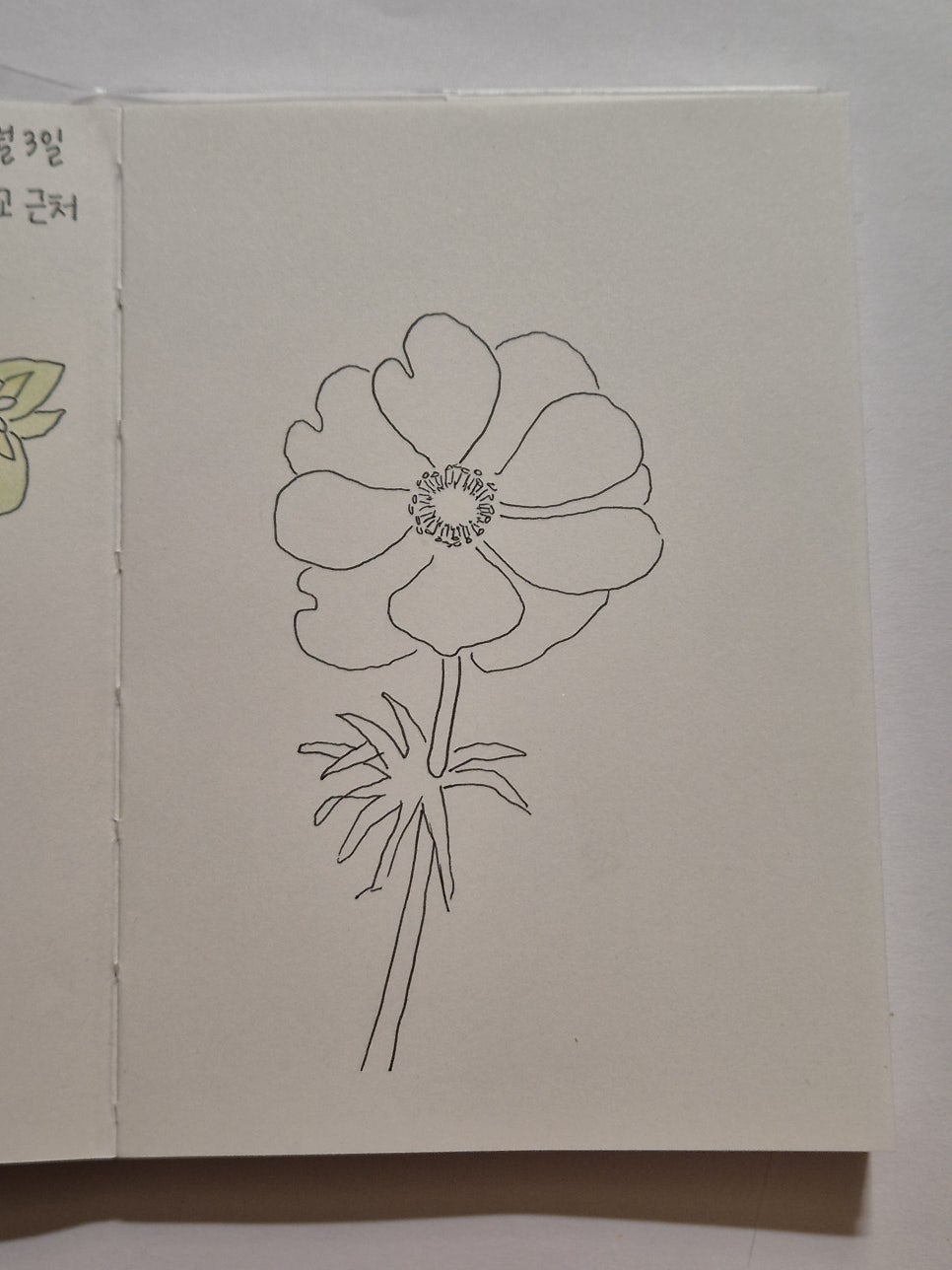 빨강 이미지