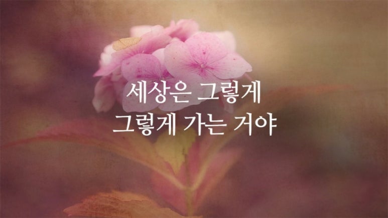 아트존 이미지