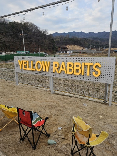 옐로우레빗츠 이미지