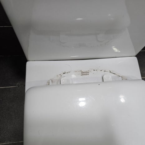 까치인력 이미지