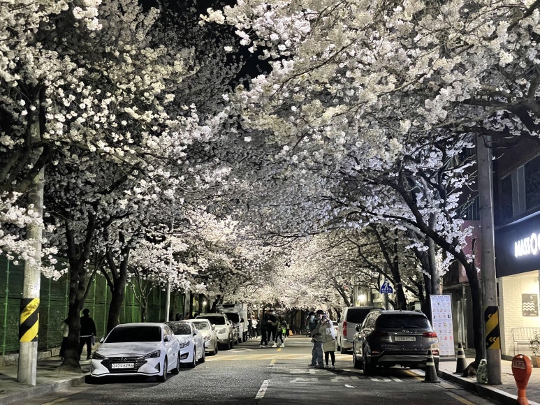 도원고등학교 이미지