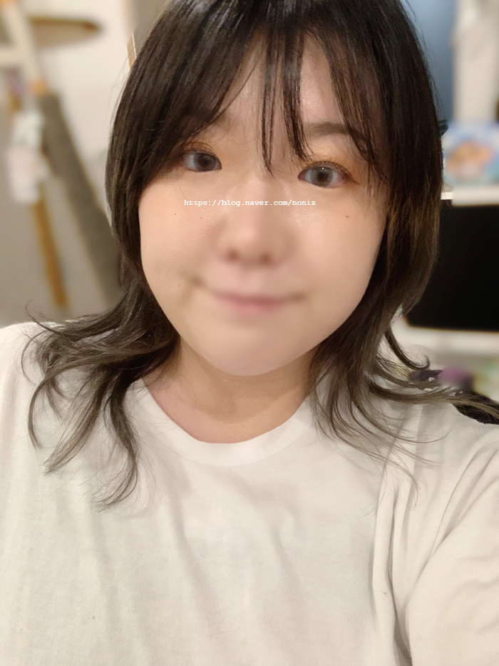 지오네어 이미지