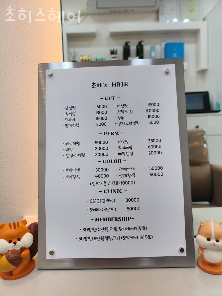 초히S Hair 이미지