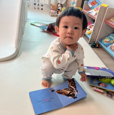 샬롬랜드 이미지