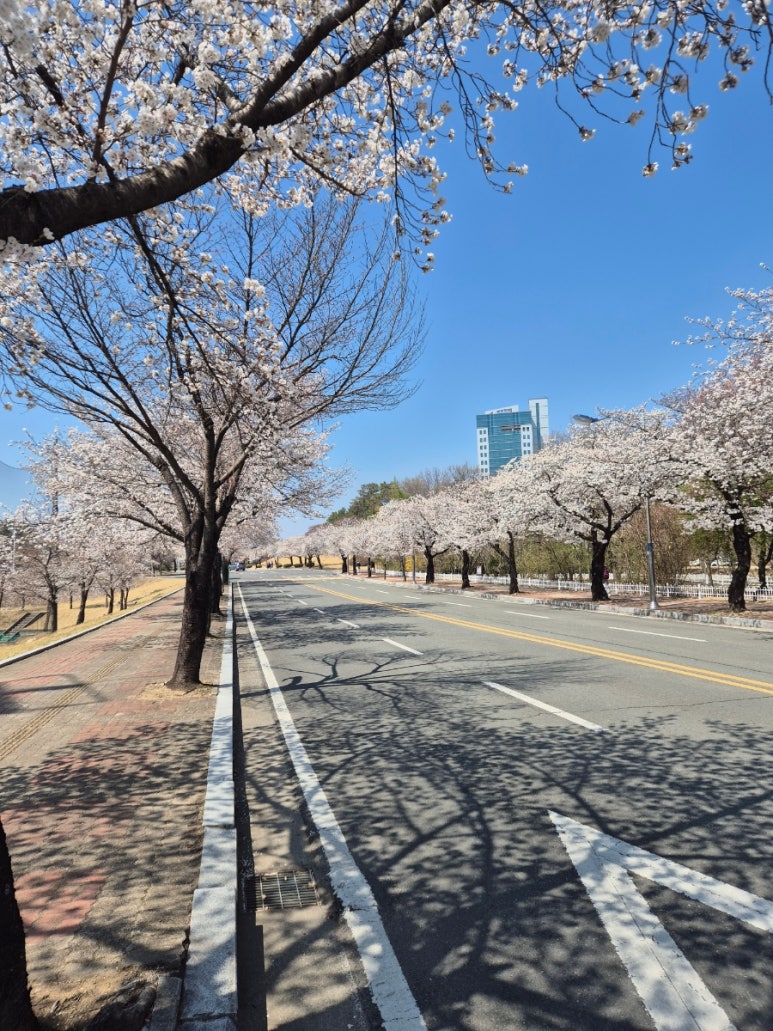 할미꽃하우스민박 이미지
