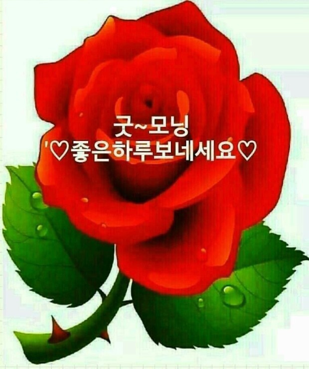 수지상사 이미지