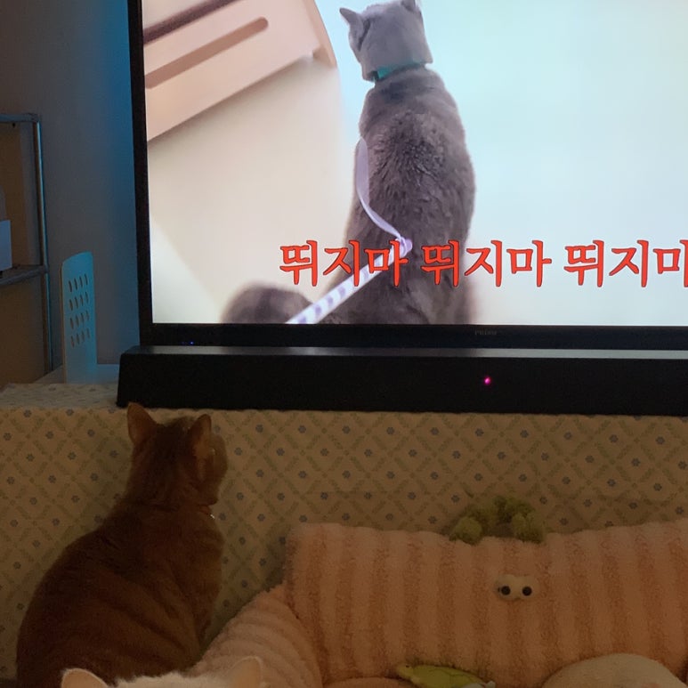맘스터치안지랑역점 이미지